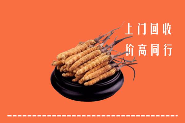 高价求购：广安市回收散虫草